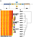 New Guidelines for DNA Methylome Studies Regarding 5-hydroxymethylcytosine for Understanding Transcriptional Regulation