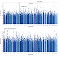 A Genome-wide Association Study and Genetic Risk Score for Age at Diabetes Diagnosis Support Beta-Cell Dysfunction in Young-Onset Diabetes in Chinese
