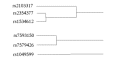 CLUSTAG: Hierarchical Clustering and Graph Methods for Selecting Tag SNPs