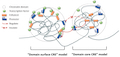 Regulatory Roles of Three-Dimensional Structures of Chromatin Domains