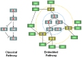 Comparing Classical Pathways and Modern Networks: Towards the Development of an Edge Ontology