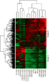 A Statistical Framework for Modeling Gene Expression using Chromatin Features with Application to modENCODE Datasets