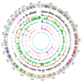 Classification of Human Genomic Regions based on Experimentally-determined Binding Sites of More Than 100 Transcription-related Factors