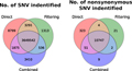 Are Special Read Alignment Strategies Necessary and Cost-Effective when Handling Sequencing Reads from Patient-Derived Tumor Xenografts?