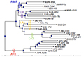 Genome Maps Across 26 Human Populations Reveal Population-specific Patterns of Structural Variation