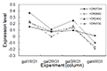 Mining Order-Preserving Submatrices from Data with Repeated Measurements