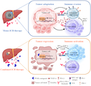 Targeting PPAR-gamma Counteracts Tumor Adaptation to Immune-Checkpoint Blockade in Hepatocellular Carcinoma