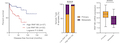 PRNF185 Control of COL3A1 Expression Limits Prostate Cancer Migration and Metastatic Potential