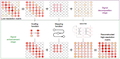 Overcoming Artificial Structures in Resolution-Enhanced Hi-C Data by Signal Decomposition and Multi-Scale Attention