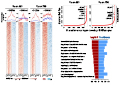 Sirtuin 7 Super-Enhancer Drives Epigenomic Reprogramming in Hepatocarcinogenesis