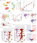 SORLA Upregulation Suppresses Global Pathological Effects in Aged Tauopathy Mouse Brain