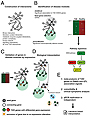 Interactome-Transcriptome Analysis Discovers Signatures Complementary to GWAS Loci of Type 2 Diabetes