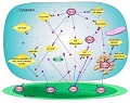 Sustained Antidiabetic Effects of a Berberine-containing Chinese Herbal Medicine through Regulation of Hepatic Gene Expression