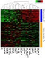 Genome-wide Analysis of Chromatin Features Identifies Chromatin-Sensitive and Chromatin-Insensitive Classes of Yeast Transcription Factors