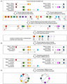 Quantifying Full-Length Circular RNAs in Cancer